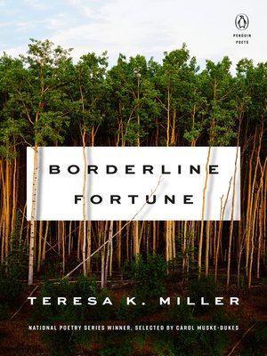 cover image of Borderline Fortune